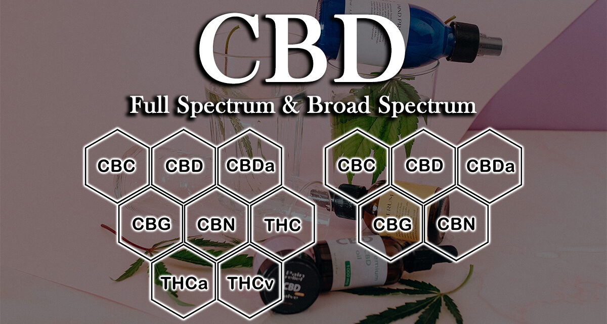 Broad and Full Spectrum CBD: A Look at the Studies Showing Its Benefits