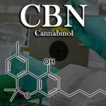 Exploring the Benefits of CBN Cannabinol A Comprehensive Guide
