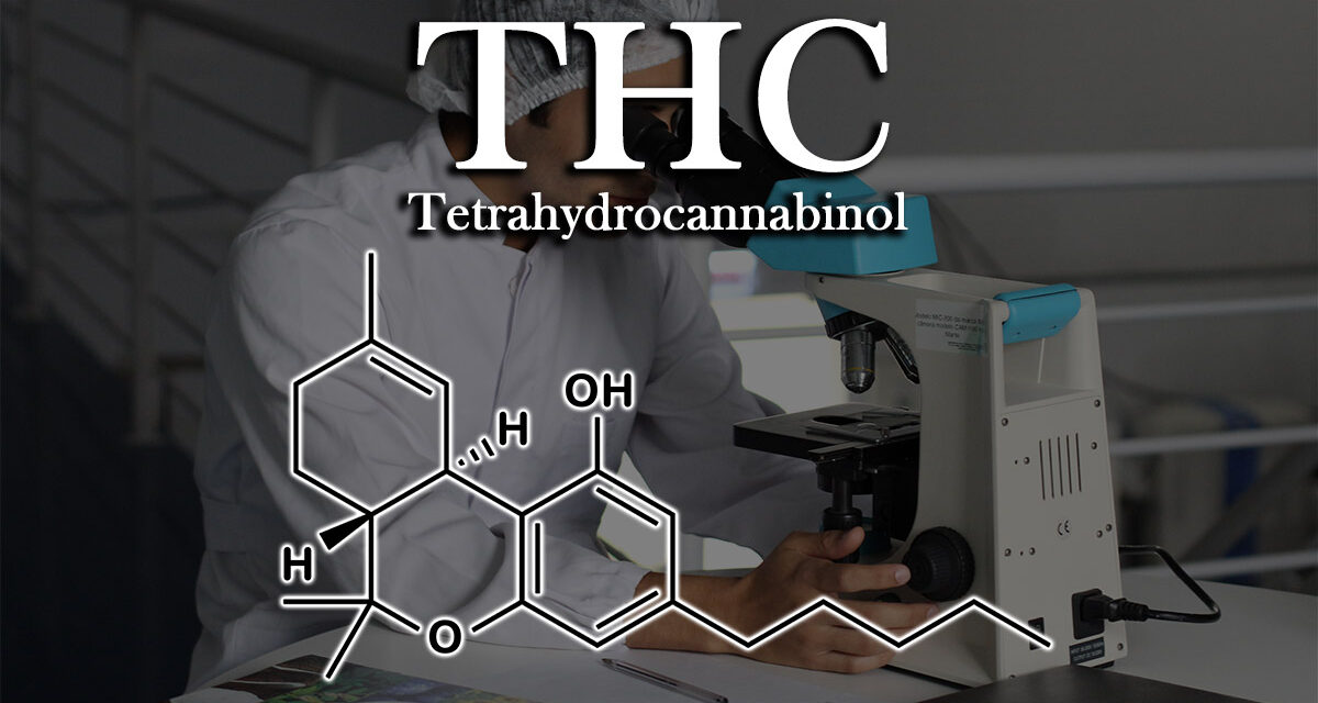 Delving into the Various Forms of THC (Tetrahydrocannabinol)