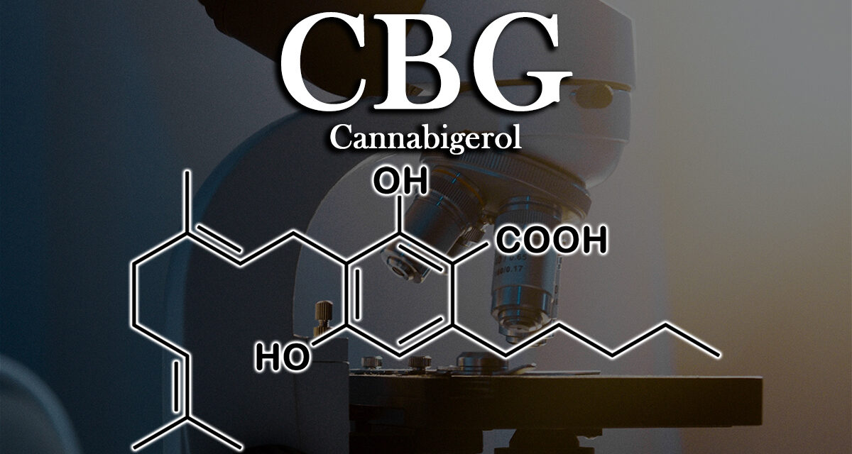 Examining the Benefits of Cannabigerol – CBG