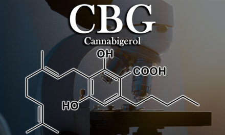 Examining the Benefits of Cannabigerol – CBG