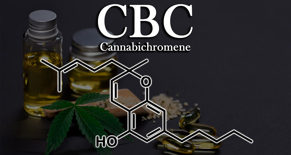 Exploring the Power of the Cannabinoid CBC (Cannabichromene)