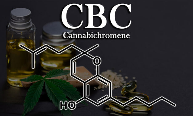 Exploring the Power of the Cannabinoid CBC (Cannabichromene)