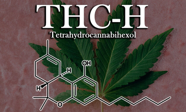 THC-H Tetrahydrocannabihexol | Debriefing on another Cannabinoid