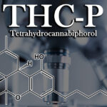 THC-P: Exploring the Benefits of Tetrahydrocannabiphorol