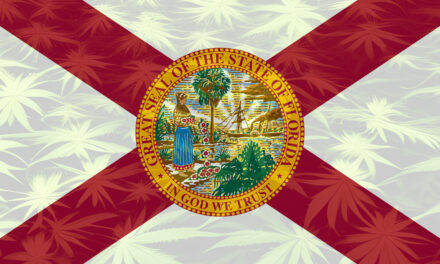 What does Florida’s House Bill 1475 & Senate Bill 1676 mean for Hemp?