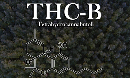 The Power of THC-B: What are the Medical Benefits?
