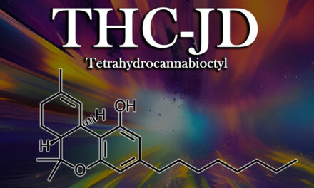 What is THC-JD? Is it safe?