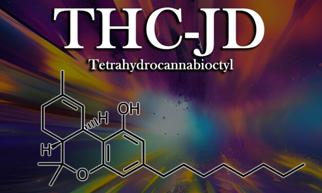 What is THC-JD? Is it safe?