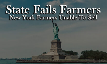 State Fails New York Cannabis Farmers