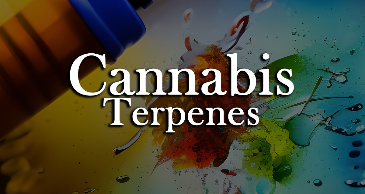 The Vast World of Cannabis Terpenes