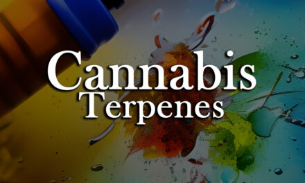 The Vast World of Cannabis Terpenes