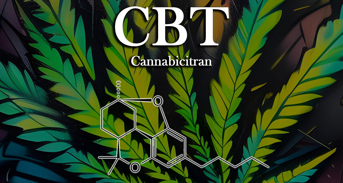 CBT: The Revolutionary Cannabinoid Cannabicitran