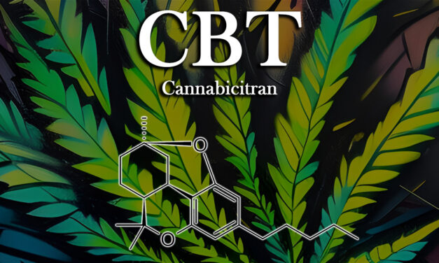 CBT: The Revolutionary Cannabinoid Cannabicitran